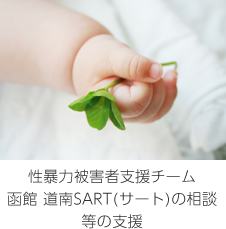 性暴力被害者支援チーム函館 道南SART(サート)の相談等の支援